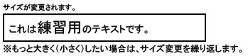 サイズ変更 操作画面